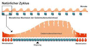 Man kann außerdem mit hilfe von sogenannten ovulationstests prüfen, ob die fruchtbaren tage eingesetzt haben. Wann Sind Die Fruchtbaren Tage Vor Nach Der Periode Sex Frauen