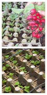 Discover Art Inspiration Ideas Styles Pflanzen Garten Erdbeeren Pflanzen