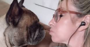 Faites garder votre animal par Barbara