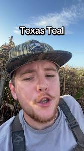 Understanding BWT: The Evasive Subspecies of Dabblers