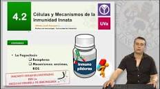 Resultado de imagen para INMUNOLOGÍA HUMANA inmunopíldoras