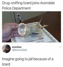 Follow Sarcam Spot On Instagram For More Funny Humor Hilarious Meme Sarcasm Sarcastic Funnymemes Laugh Stupid Funny Memes Haha Funny Funny Pictures