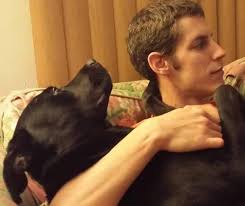 Lost Female Black Lab in Forest Area Near Club Naples