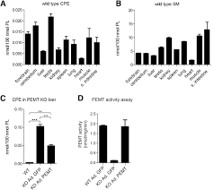 2019 amendments to the 1997 rules of civil procedure. Functional Characterization Of Enzymes Catalyzing Ceramide Phosphoethanolamine Biosynthesis In Mice S Journal Of Lipid Research