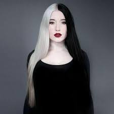 Buy black half wig and get the best deals at the lowest prices on ebay! Split Dyed Half Black With White Lace Front Wig Long Straight Synthetic Hair Top 6502142695709 Ebay