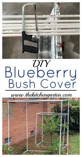Diy blueberry cage made with 12 pvc tubing and 6 t connectors with landscape netting beautiful and useful pergola landscape netting — elbrusphoto porch and landscape ideas. Easy Diy Blueberry Bush Covers The Kitchen Garten