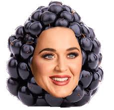 Katy Berry : r/papgrappen