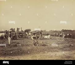 Loading Carts; Oscar Mallitte, British ...