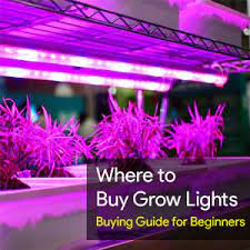 Check spelling or type a new query. Where To Buy Grow Lights Buying Guide For Beginners Best