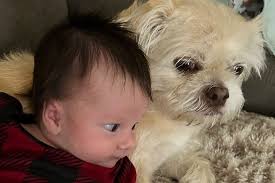 Fundraiser for Chris Pitts by Kirstin Maule : A chance for charlie