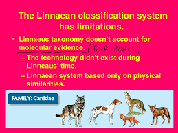 Classification Ch Ppt Download