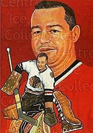 Awards won by nhl goalies