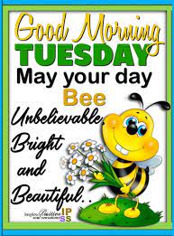 Pin On Daily Morning Afternoon Inspiration Blessings