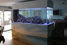 Aquariums As Stylish Room Dividers Aquarium Home Aquarium Amazing Aquariums