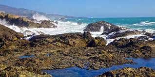 Rams Head Realty & Rentals – Gualala, CA – Sonoma.com