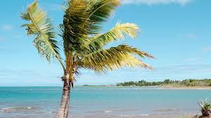 En nouvelle calédonie, une alerte au tsunami a également été lancée. Nouvelle Caledonie Un Seisme Et Des Vagues De Tsunami L Express
