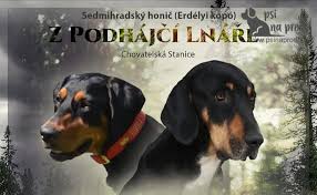 Image result for sedmihradský honič