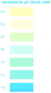 47 symbolic api ph test color chart