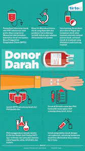 39 contoh pamflet pengertian ciri jenis manfaat tujuan. Pamflet Donor Darah Cdr Desain Pamflet Donor Darah Poster Kesejahteraan Corel Draw X8 X7 X5 X4 Mechelleq9f Images