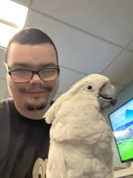 u local New Hampshire