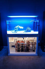 Rimless Aquarium Club Page 51 Reef Central Online Community Sick Sump Aquarium Saltwater Aquarium Fish Saltwater Tank