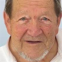 Albert (Alberto) F Martins Obituary