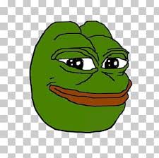 Explore tweets of cinta pepe papua @hauspp on twitter. Pepe The Frog Png Images Pepe The Frog Clipart Free Download