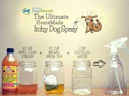 The Ultimate Homemade Itchy Dog Spray Diy Tag