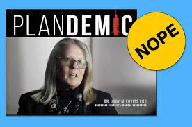 Judy mikovits is a disgraced scientist who published a paper claiming that a retrovirus called xmrv causes chronic fatigue syndrome, results that other investigators were unable to replicate. Coronavirus Plandemic Video Banned From Youtube And Facebook And Is Full Of Falsehoods