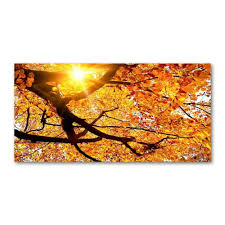 Stezka korunami stromů v krkonoších. Wallmuralia Foto Obraz Fotografie Na Skle Koruna Stromu Podzim 140x70 Cm Mall Cz
