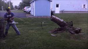 It sounds complicated, but it works good. Remove Stumps With Come Along Youtube