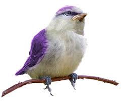 Bird Is The Word Gif With Sound Https Encrypted Tbn0 Gstatic Com Images Q Tbn 3aand9gcr4fmqhqpnfrgciwumuod3ooxrelhhosb X0q Usqp Cau