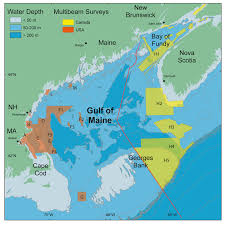 gulf of maine council