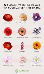 Check spelling or type a new query. 12 Flower Varieties To Plant This Spring Farm Flavor