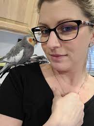 ITS BEEN 30 DAYS SINCE KEVIN HAS WENT MISSING. I STILL HAVE HOPE HE'S OUT  THERE... MAYBE SOMEONE HAS GIVEN HIM A HOME. PLEASE LET ME KNOW IF YOU'VE  SEEN HIM. REWARD