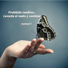 Pin De Maria Jose Garcia En Actitud Positiva Frases Alentadoras Motivacion De Vida Dios Te Ama