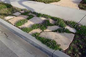 Groundcover Woven Between Pavers Landscaping With Rocks Sidewalk Landscaping Front Yard Landscaping Design