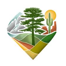 Image result for Schmidtia pappophoroides