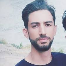 درباره نوین وردپرس