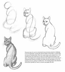 How To Draw A Cat One Way Picture From The Book Catart 001 Jpg 1166 1 Black Cat Cat Diy Cat Funny Cat Photography Cat T In 2020 Animal Drawings Sketches Drawings