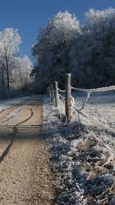 Check spelling or type a new query. Download Wallpaper 800x1420 Fence Stakes Hoarfrost Gray Hair Winter Cold Road Country Iphone Se 5s 5c 5 For Parallax Hd Background