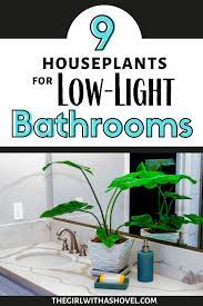 Low Light Plants For The Bathroom Houseplants Low Light Low Light Plants Best Bathroom Plants