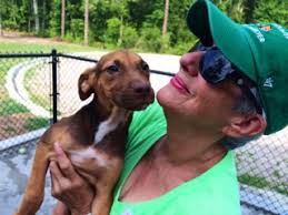 Strictly a labor of love, part 2: Volunteering at the shelter