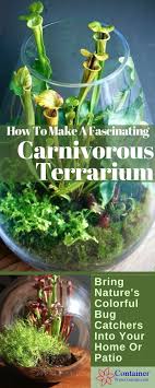 Look specifically for products marked sphagnum peat moss, which is available at most garden centers. Create A Fascinating Carnivorous Terrarium Container Water Gardens