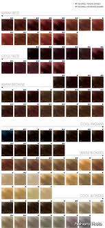 aveda hair color swatches 2014 2015 more purple red