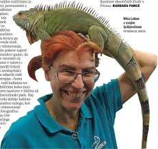 Slane novice nagradno z križanko!