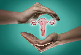The menopause may be naturally premature or early. The Difference Between Ovarian And Cervical Cancer