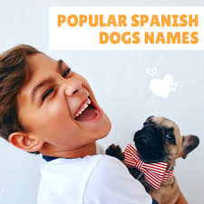 Find list of french bulldog names & frenchie names. 100 Popular Spanish Dog Names And Meanings Pethelpful By Fellow Animal Lovers And Experts