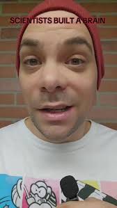 Dongyan Lin Neuroscience Research