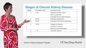 The nkf has divided chronic kidney disease into five stages to help those who have renal disease know when they are at end stage renal failure and need dialysis. Stages Of Kidney Disease Youtube